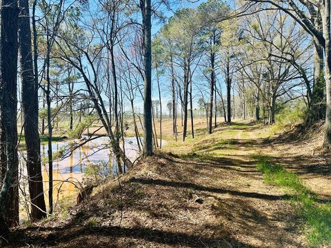 Lots & Land, TROY, AL