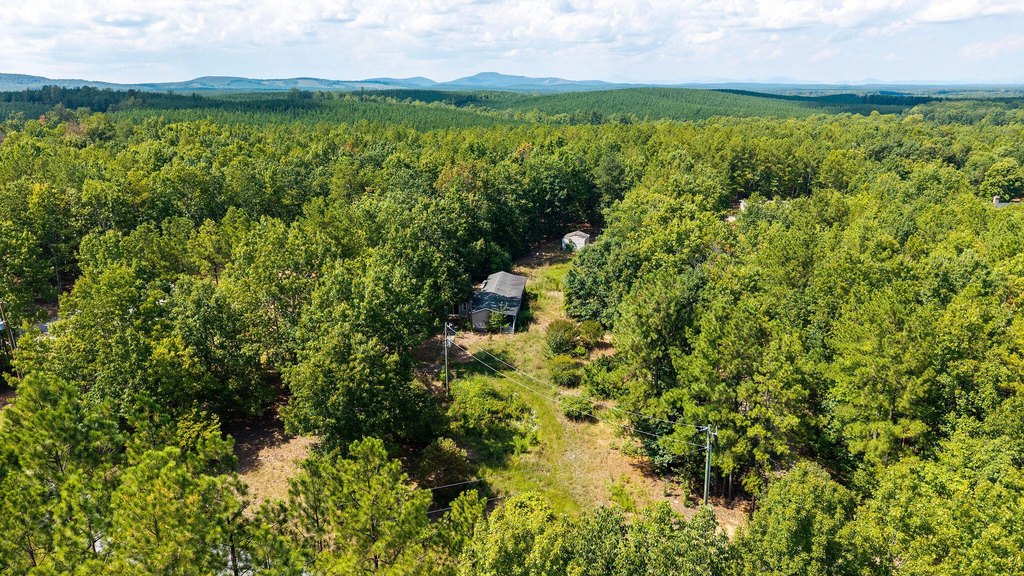 Picture 29
