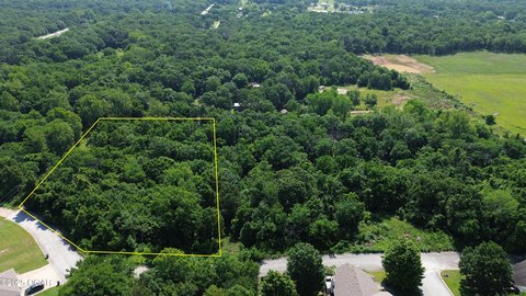 Wooded Lot in Joplin, MO