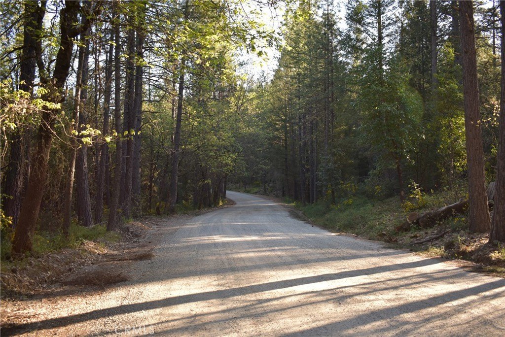 Forested Agricultural Land For Sale