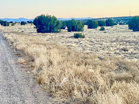 Land in Concho, Arizona