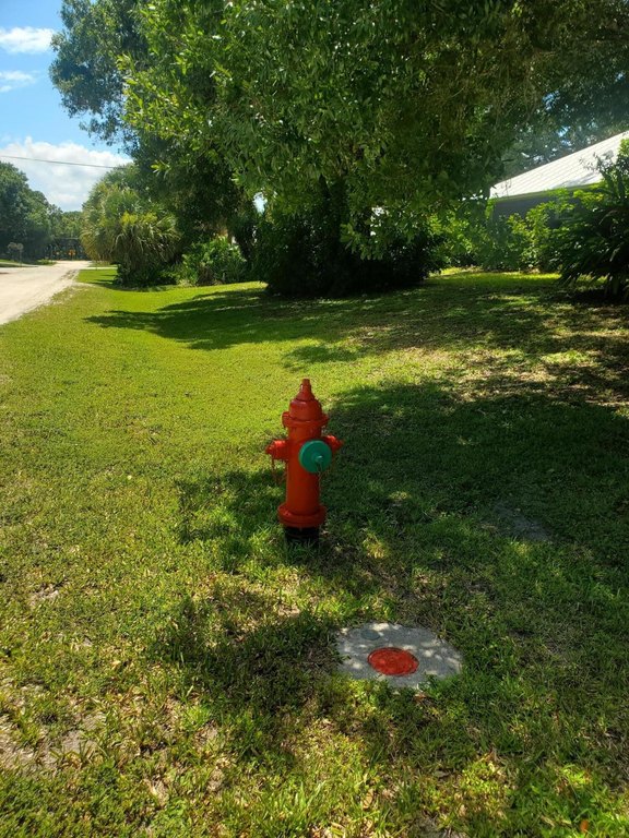 Picture 21