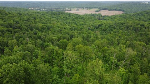 Hunting Land with Cabin View