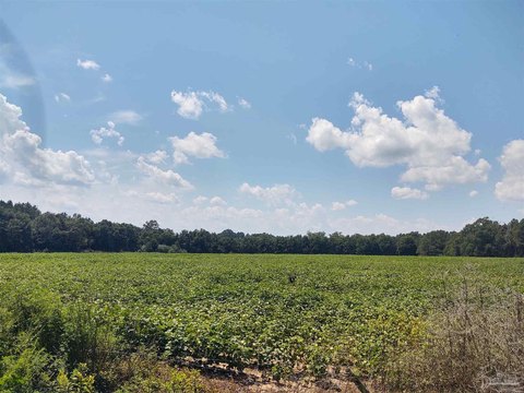40 Acres North of Milton