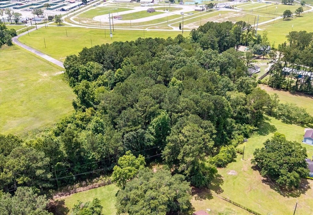 Picture 30