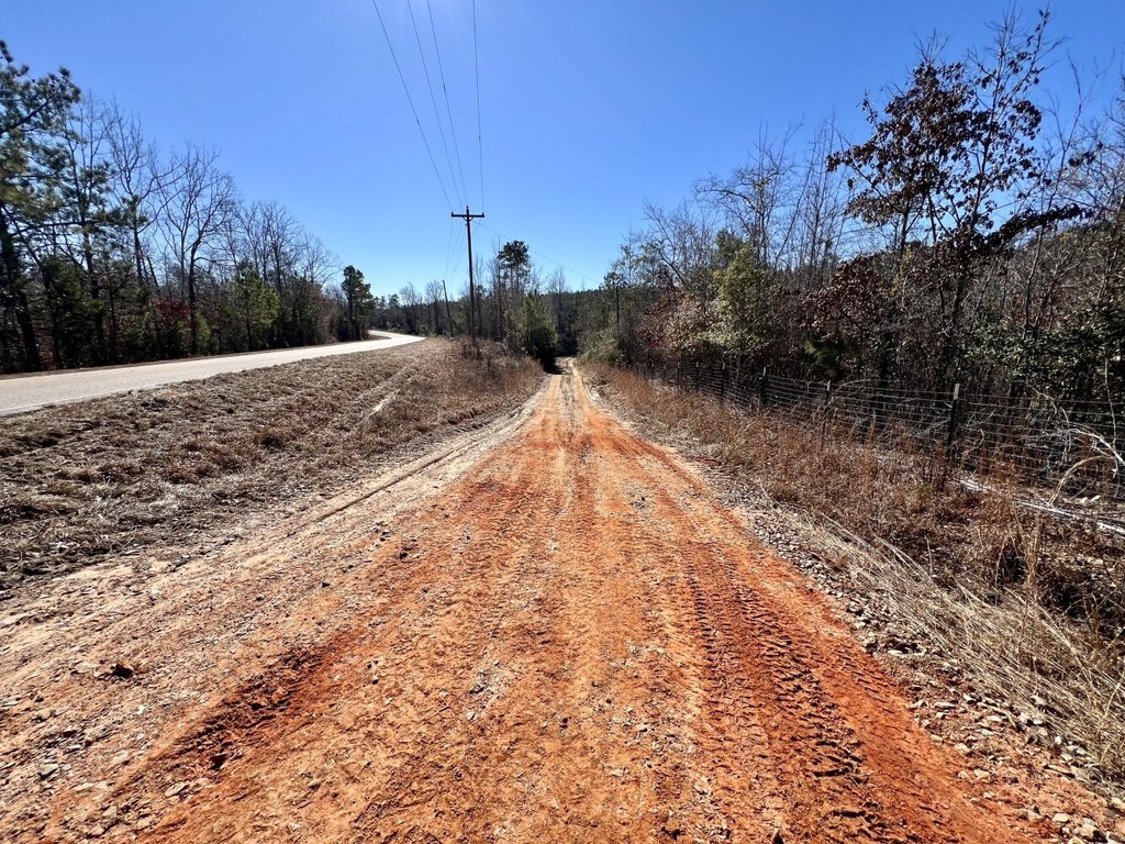 Picture 41