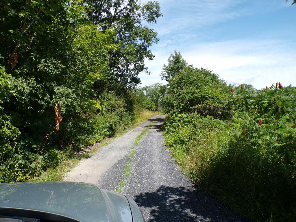 Picture 6