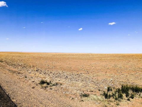 Agricultural Land with CRP Income