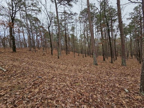Little Rock Hilltop Land