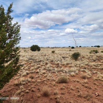 Snowflake, AZ Build-able Land