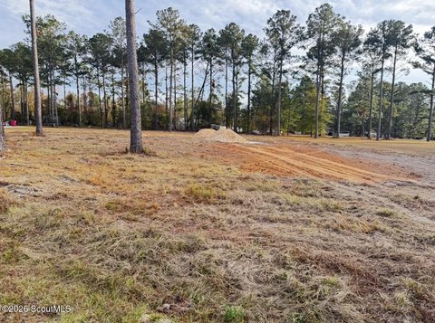 Land, Blackshear, GA