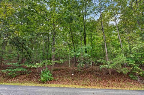 Wooded Residential Lot in Community