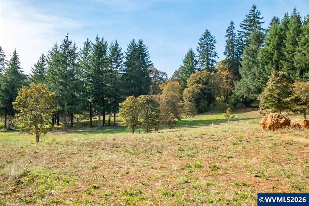 Picture 50