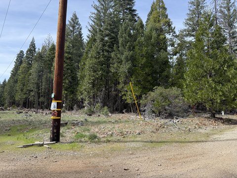 Shingletown Land Near National Park