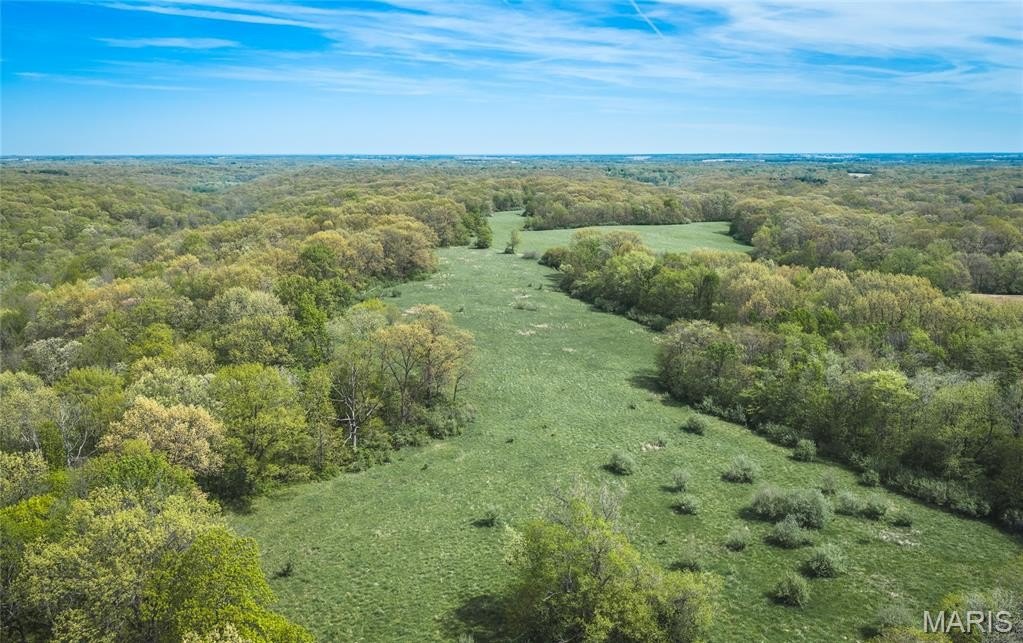 Premier Hunting and Recreational Property