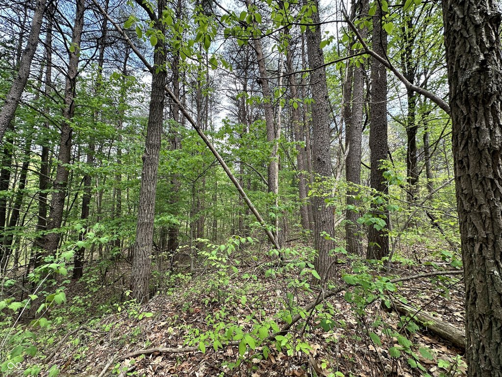 Picture 23