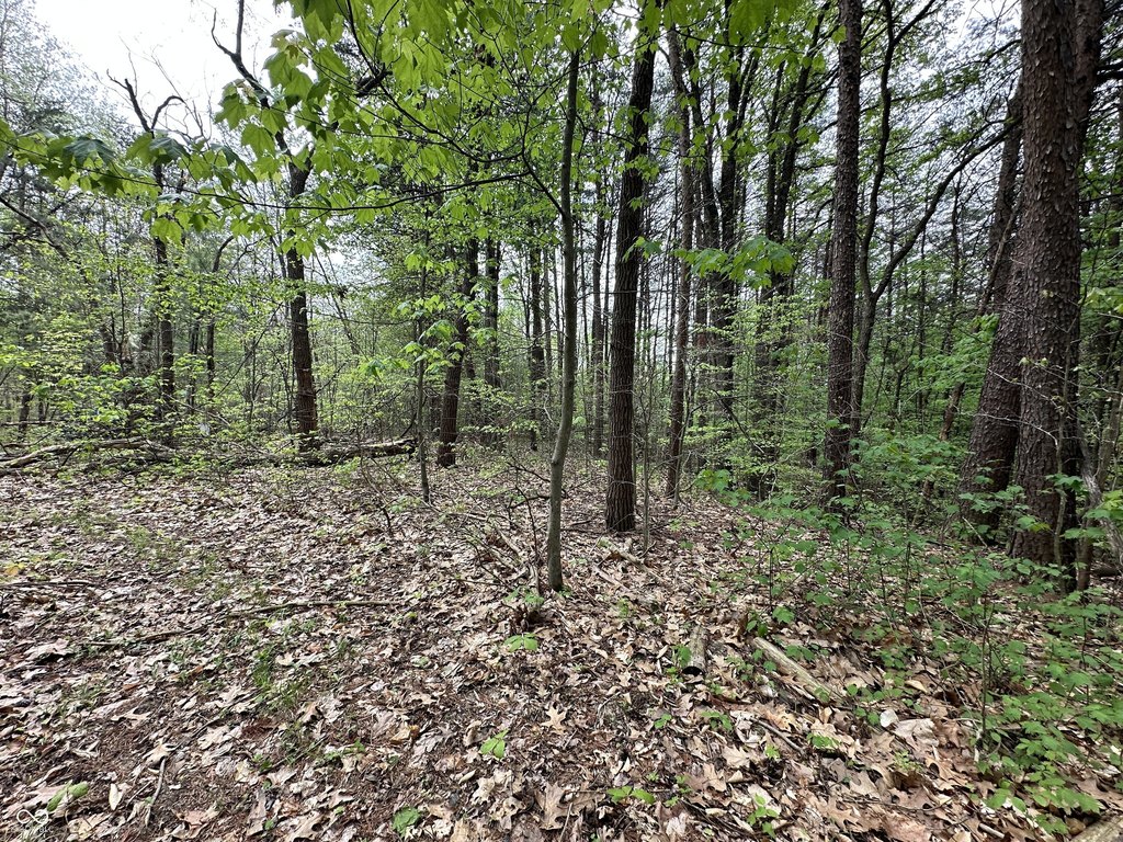 Picture 25