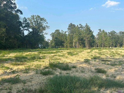 LAND - Livingston, LA