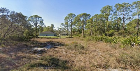 Land, LAKE PLACID, FL