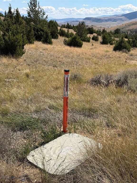 Picture 22