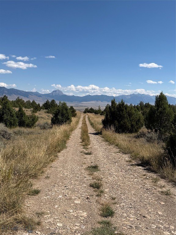 Picture 23