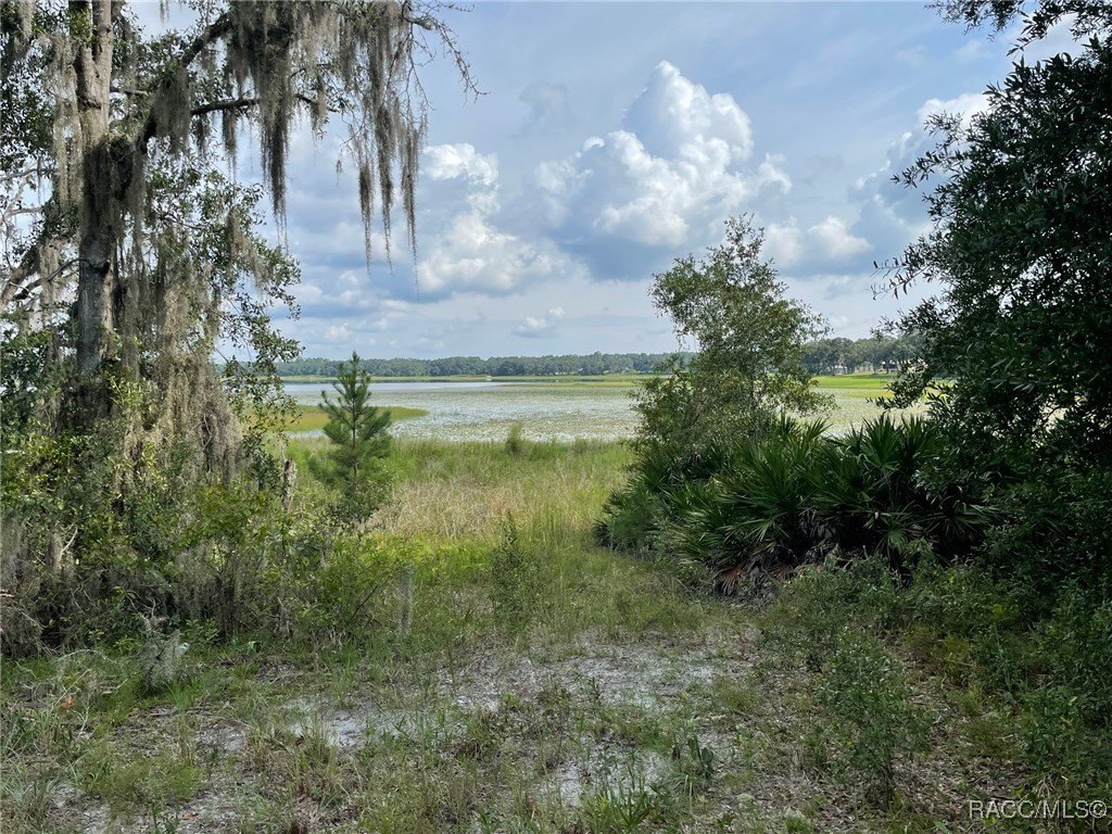 Lakefront Property in Rainbow Lakes
