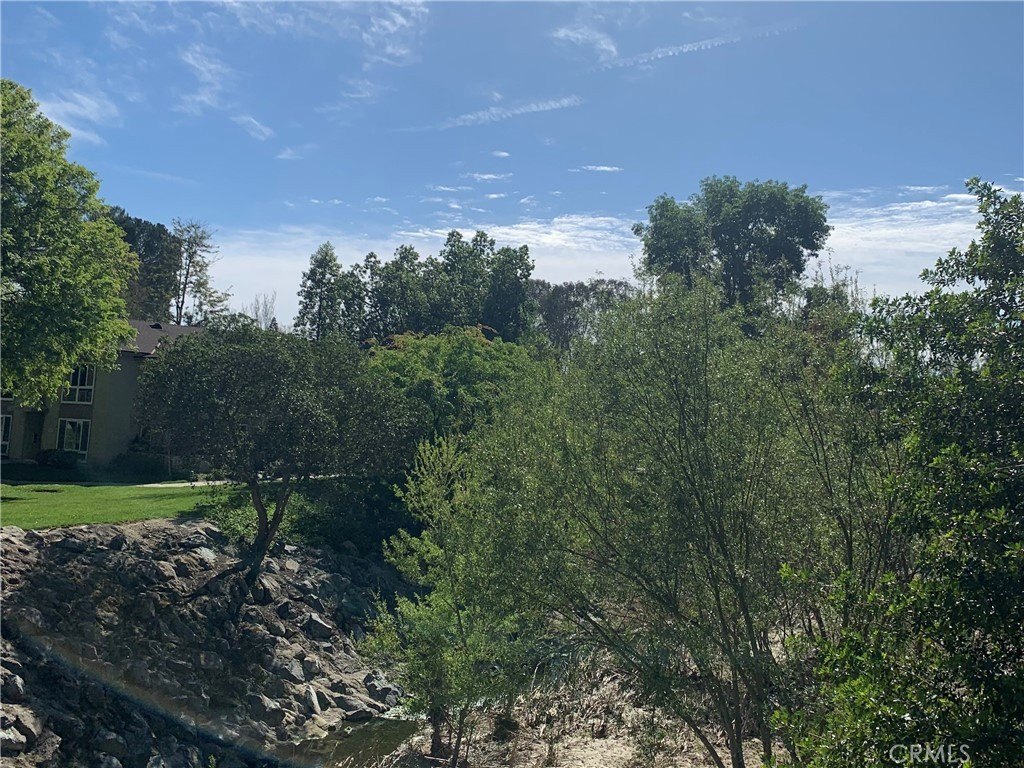 Picture 29