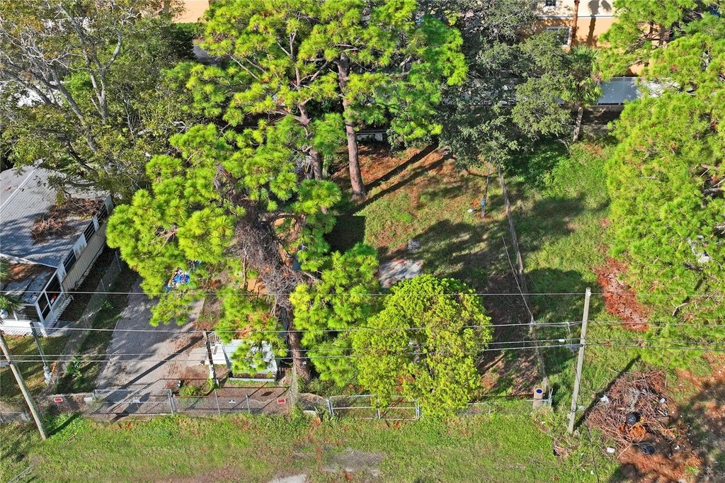 Picture 7