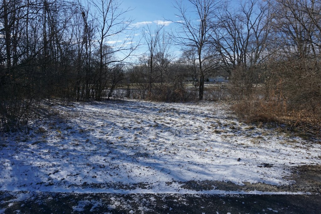 Picture 5