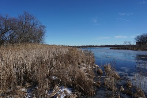 Timbered Lakefront Land Lot