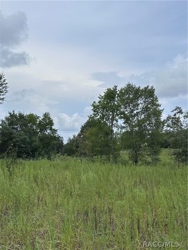 LAND - Inverness, FL