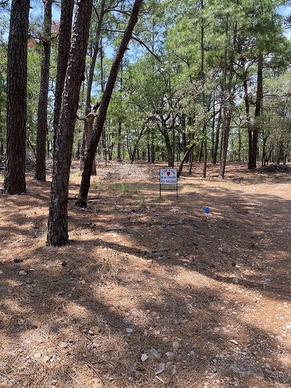 La Grange Acreage with Lake Access