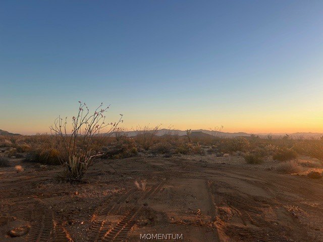 Picture 11