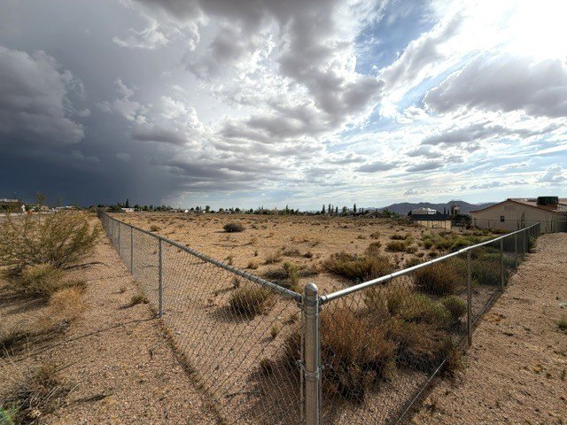 Picture 8