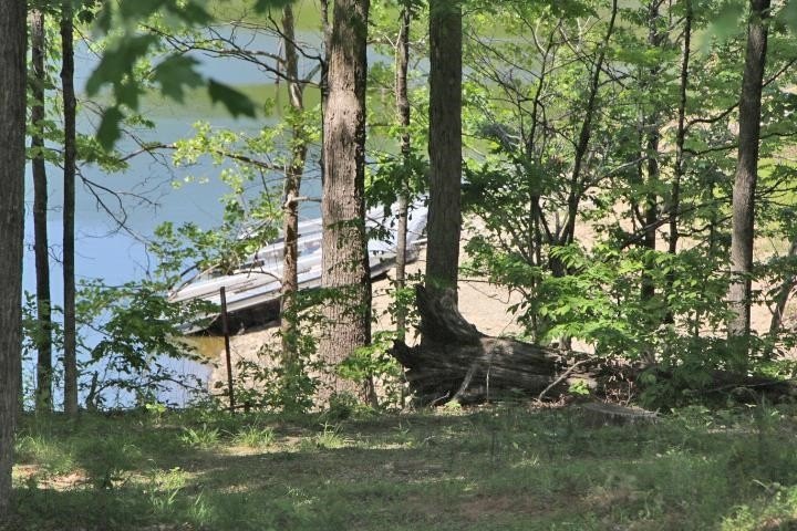 Picture 4
