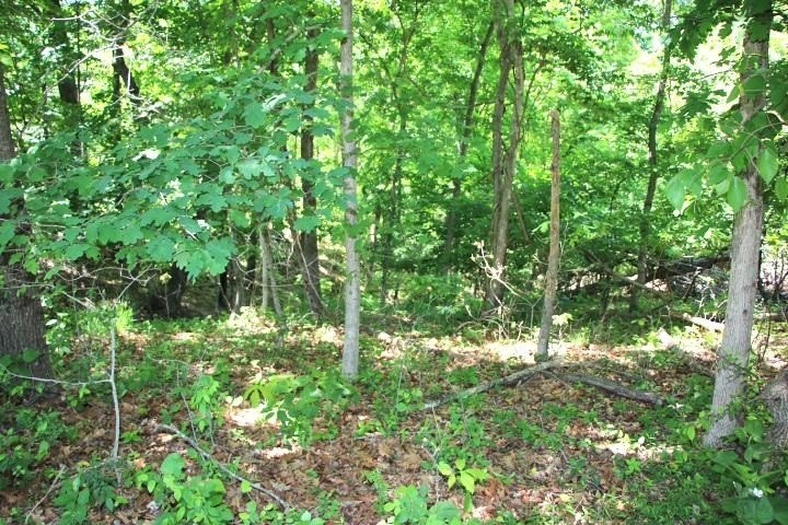 Picture 13