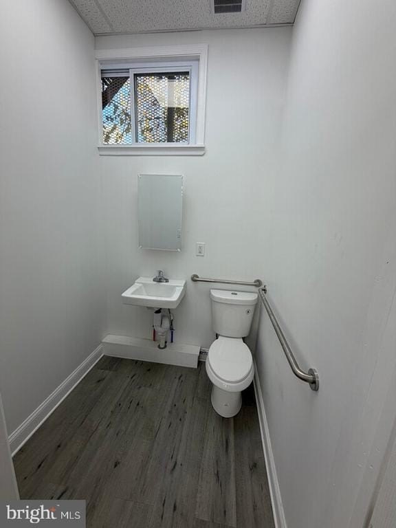 Picture 5