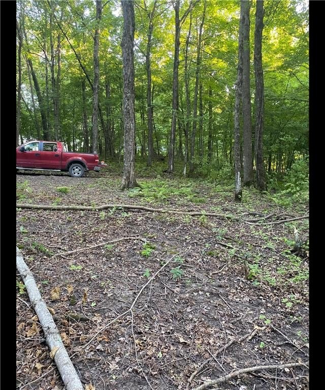 Picture 4