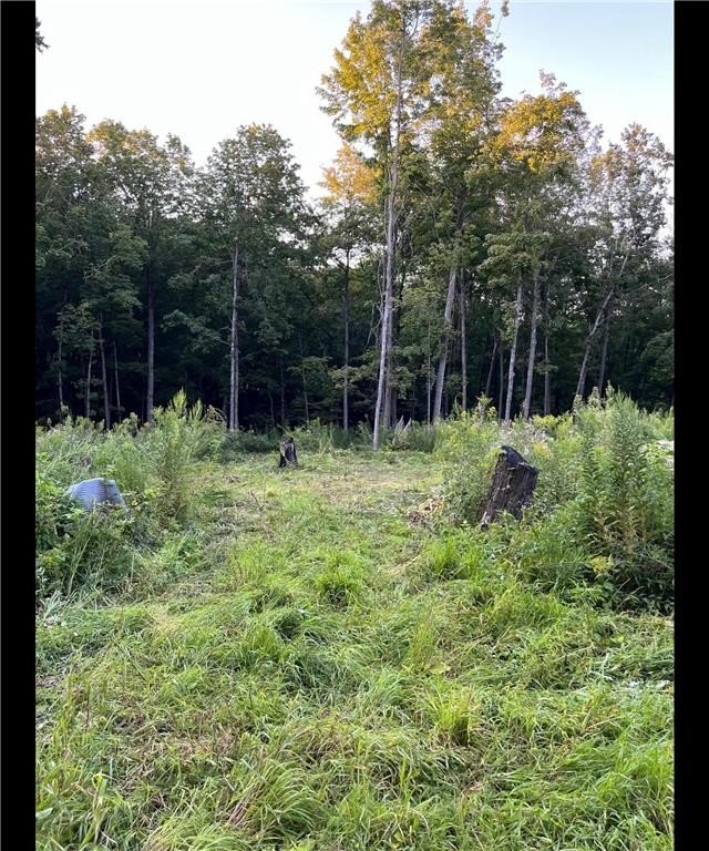 Picture 7