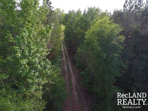 Mixed Timber Hunting Land Tract