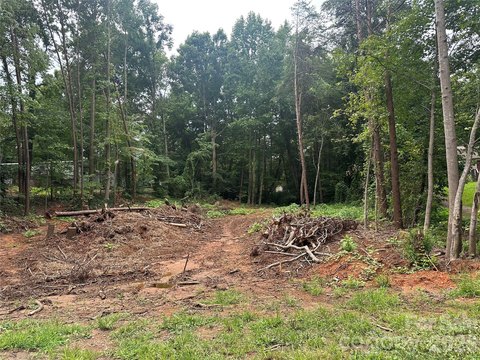 Land, Denver, NC