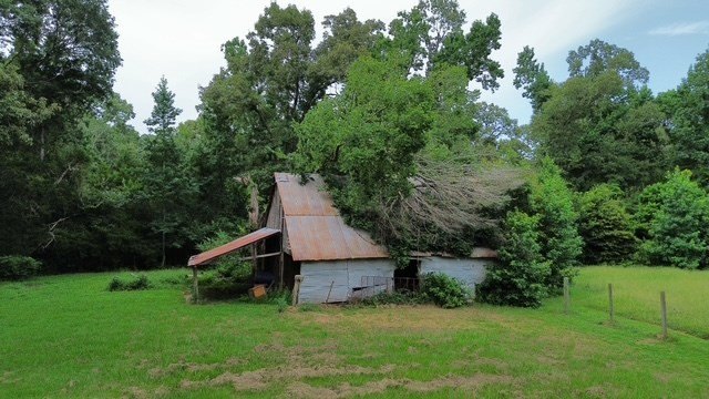 Picture 5
