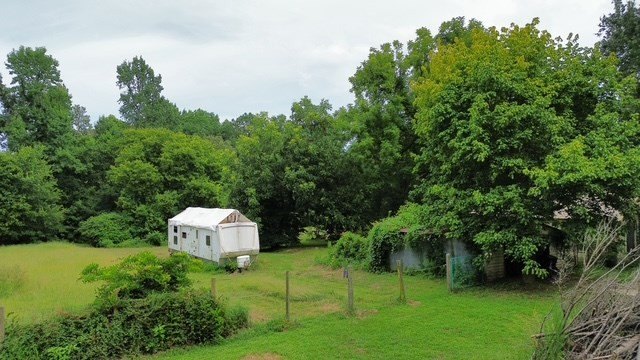 Picture 7