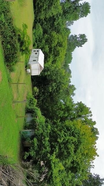 Picture 8