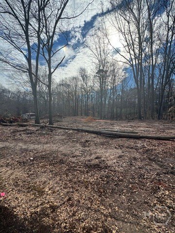 Picture 3