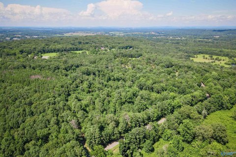 LAND - Decatur, AL