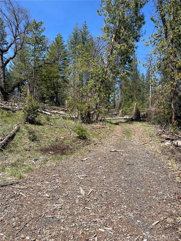 Picture 9