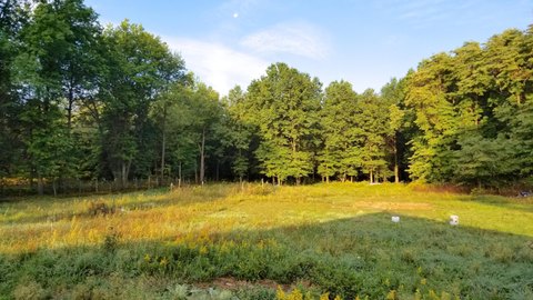 LAND - HOLLAND, MI