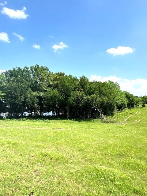 Picture 23