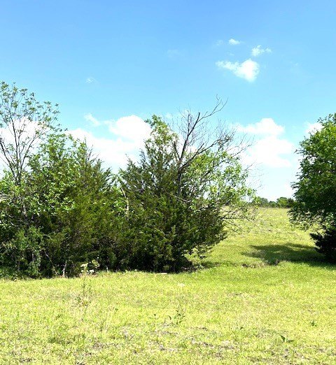 Picture 35
